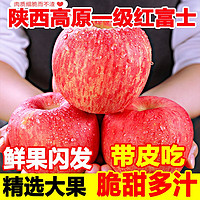 宝鲜大咖 陕西高山纸袋红富士苹果新鲜水果整箱8.5斤礼盒
