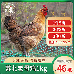 TIANYEJINTOU 田野尽头 老母鸡1kg 500天散养土鸡肉溜达鸡，