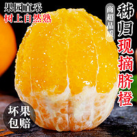 湖北宜昌秭归脐橙10斤应季新鲜水果包邮大果橙子手剥冰糖甜橙整箱