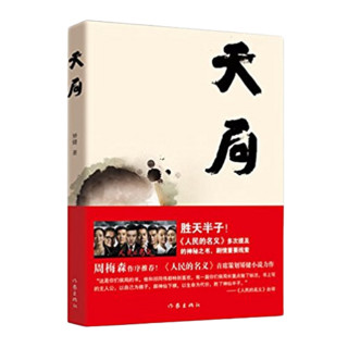 遥远的救世主 未删减版 豆瓣评分9.2分国产神剧《天道》原著小说 天局