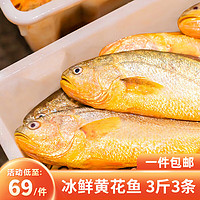 鸿顺 黄花鱼3条3斤 生鲜鱼类 宁德大黄鱼 源头直发