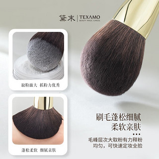 黛末（Texamo）超大散粉刷大号蓬松定妆粉刷软毛专业化妆刷子美妆工具 A201大号散粉刷【黑色】