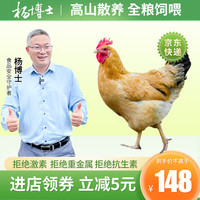 杨博士【老母鸡】农家土鸡高山散养1年以上走地鸡(单只净重1.8-2.5斤) 1只老母鸡
