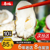 惠蚝乳山生蚝鲜活带箱10斤新鲜特大即食烧烤牡蛎肉海蛎子海鲜水产