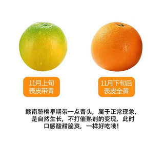 橙之味 江西赣南脐橙新鲜橙子水果赣州产地直发皮薄多汁礼盒装团购 【特级橙】10斤毛重单个200-400g