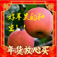 元族 红富士苹果新鲜脆甜薄皮不打蜡带皮吃优选10斤装