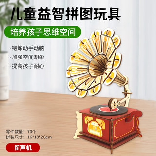 举名立体拼图3d木质拼装模型地球仪儿童益智玩具女生手工diy积木 HG留声机