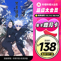 bilibili 哔哩哔哩 超级大会员 13个月