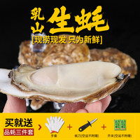 乳山生蚝鲜活特大10新鲜牡蛎5斤带箱海鲜水产海蛎子整箱商用