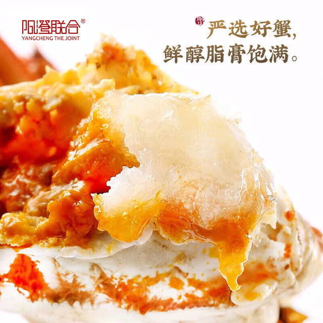 阳澄联合 大闸蟹鲜活全母2.0-2.3两 8只去绳足重螃蟹海鲜礼盒