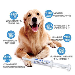 倍酷（PetAg）益生菌 整肠膏 猫咪狗犬宠物益生菌 肠胃宝 帮你壮 龙猫兔子小宠通用 美国 15g