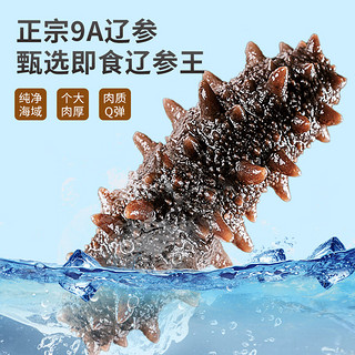 渔游记（YUYOUJI）鲜食海参礼盒开袋即食500g10-15头辽刺参 海鲜水产 固形物75至85%