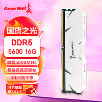 Great Wall 长城 16G DDR5 5600 马甲条 台式机内存条
