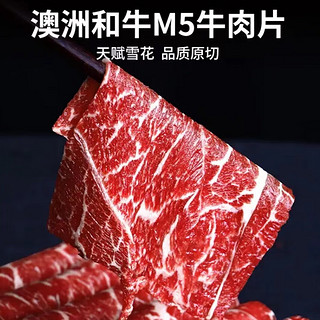 Brangdy澳洲 M5雪花牛肉片 安格斯牛肉卷谷饲肥牛卷 M5雪花牛肉片【900g】