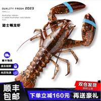蟹锦记 冷冻波斯顿龙虾 1只装  4.5-5斤