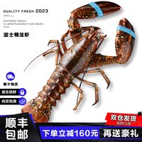 今日特惠节！！活冻波士顿 龙虾 1只装4.5-5斤+顺丰