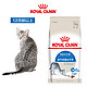 ROYAL CANIN 皇家 猫粮I27室内成猫粮10kg公斤英短布偶全价猫粮官方旗舰店正品