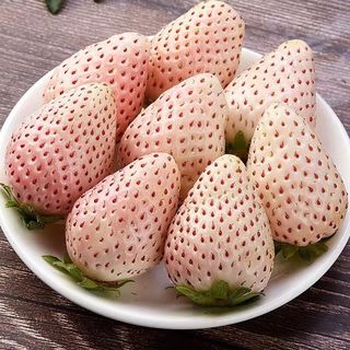 曲迪 淡雪草莓 250g 一盒15-20颗 顺丰空运