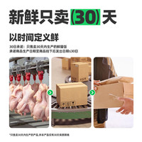 88VIP：鲜粮说 猫咪全价湿粮鲜猫饭主食包营养增肥发腮  250g×5袋