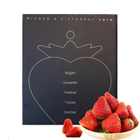 智洲丹东99红颜草莓 源头直发 礼盒装 35枚单颗25g-30g+ 珍品红颜99草莓 1盒35粒 礼盒装【单果25g-30g】