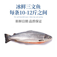 一整条冰鲜挪威三文鱼10-12斤 新鲜生鱼片刺身中段鲑鱼即食海鲜