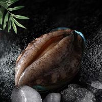星品膳新鲜冷冻大鲍鱼海鲜水产鲜活大鲍鱼新鲜大鲍鱼捞饭 精选大鲍鱼 甄选大鲍鱼 1斤