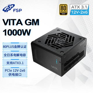 FSP 全汉 VITA GM 1000W金牌全模组电源（ATX3.1/PCle 5.1 12V-2x6接口/全日系电解电容）