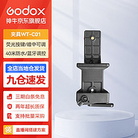 神牛（Godox）WT40D/R水下拍摄潜水补光灯防水灯摄影户外LED常亮灯照明灯 WT-C01 彩光版