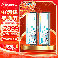 Asgard 阿斯加特 96GB(48GBx2)套装 DDR5 6400 台式机内存 RGB灯条-吹雪