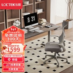 乐歌 电动升降桌电脑桌  ES2灰腿|环保生态板|灰木纹色