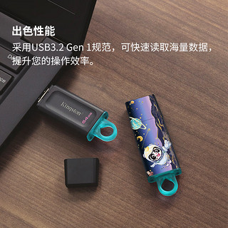 金士顿（Kingston）64GB USB3.2 Gen 1 U盘 DTX 个性化熊猫款