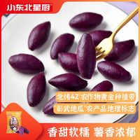 小东北星厨 小紫薯600g 约56枚 微波空气炸锅食材 儿童宝宝早餐小吃速食面点