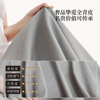 芝华仕（CHEERS）头等舱意式极简真皮电动多功能沙发家用客厅直排组合沙发30190 极致灰-单人位单电动 年后发货