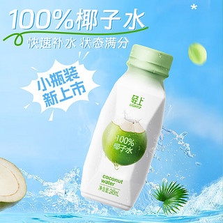 YETAI 椰泰 罗伯克 醇香拿铁 咖啡饮料 椰子水245ml*6瓶