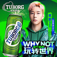 Carlsberg 嘉士伯 乐堡啤酒 500ml*24罐