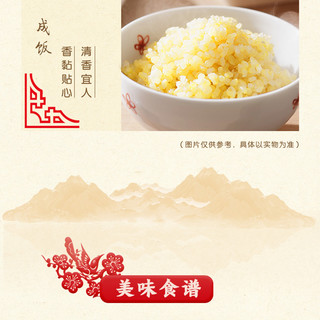 金龙鱼杂粮组合150g*4包（黑米/黄小米/三色糙米）