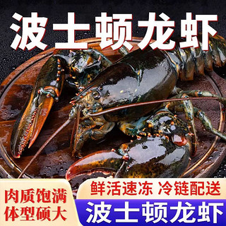 蟹锦记波士顿龙虾特大龙虾 海鲜水产 鲜活冷冻波斯顿龙虾 精品波士顿龙虾 1只装4.5-5斤