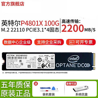 SOLIDIGM 英特尔（Intel） Optane傲腾 P4800X/P5800X/企业级固态硬盘SSD P4801X 100G M.2 22110企业级