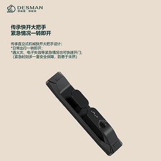 DESMAN 德施曼 电子锁