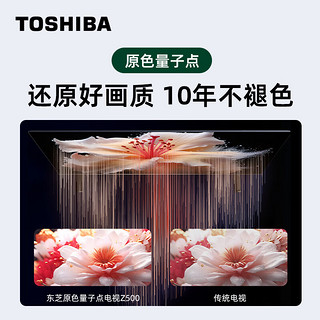 TOSHIBA 东芝 电视75Z500MF+CINEMA STV J100沉浸追剧套装 75英寸量子点120Hz高刷巨幕 4K超清低蓝光 平板电视机