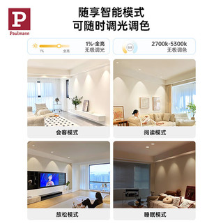 Paulmann P德国柏曼智能全光谱筒灯防眩射灯窄边框客厅无主灯 【 HomeKit智能】60°筒灯 5只