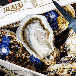 BEISILING 贝司令 可生食刺身级乳山生蚝鲜活牡蛎12只装海蛎子海鲜木箱礼盒装