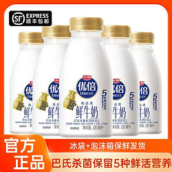Bright 光明 优倍鲜牛奶280ml*5瓶学生营养早餐新鲜牛奶