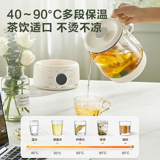 SUPOR 苏泊尔 养生壶煮茶器 316L不锈钢  SW-10Y04