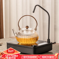 瓷牌茗茶具电陶炉煮茶器家用小型智能抽水煮茶炉加厚耐热玻璃煮茶壶 透明菊瓣壶+黑双环DTL-10炉 840ml