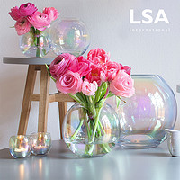 LSA 透明玻璃花瓶鲜花客厅水晶插花大肚水培花器摆件