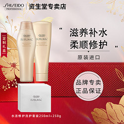 SHISEIDO 资生堂 专业美发（SHISEIDO PROFESSIONAL）日本进口芯护理道水活修护洗发水无硅油干枯毛糙滋润受损柔顺 水活修护洗护250ml+250g礼盒装