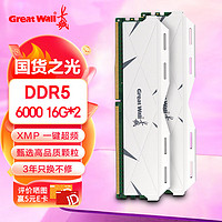 Great Wall 长城 32G(16G*2)套条 DDR5 6000 马甲条 台式机内存条