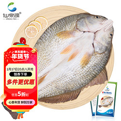 仙泉湖 斑点尾鲈鱼 500g