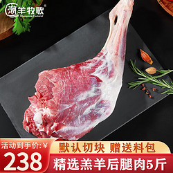 潮羊牧歌 宁夏滩羊肉 生鲜国产精修羔羊腿 新鲜羊肉卷羊肉串烧烤食材清真 5斤精修滩羊后腿